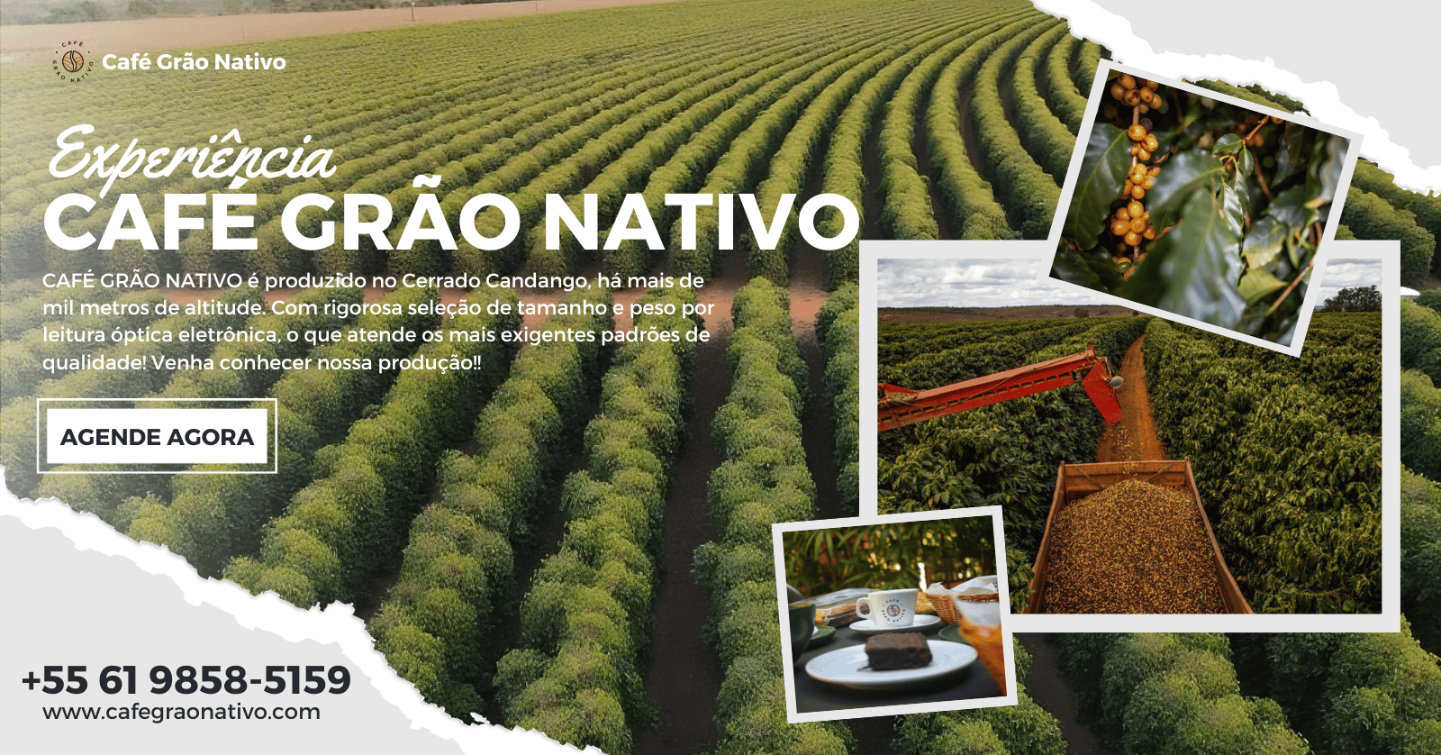 Experiencia Santa Rosa 28 11 Cafe Grao Nativo